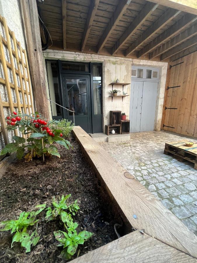 La Cour Chartraine - Cosy Appartement Avec Cour Exterieur A ブロワ エクステリア 写真
